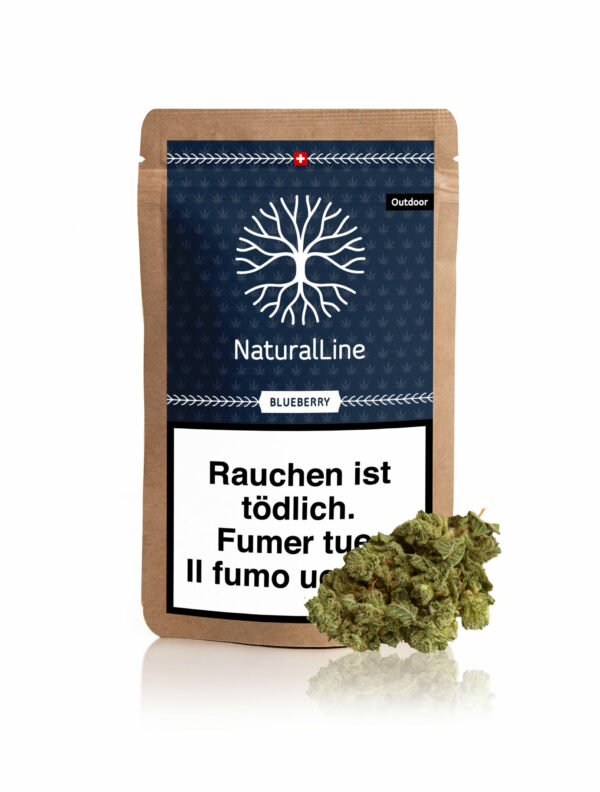 Blüten Outdoor Blueberry